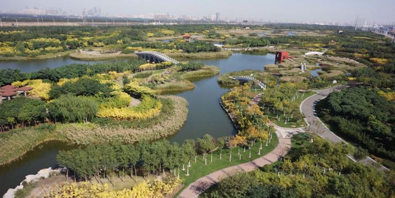 The wetland park constructed under the project handles stormwater, purifies inflow water, and serves as a habitat for coastal species and a leisure site for citizens. Photo credit: Project Management Office, Harbor Economic Area Administrative Commission. 
