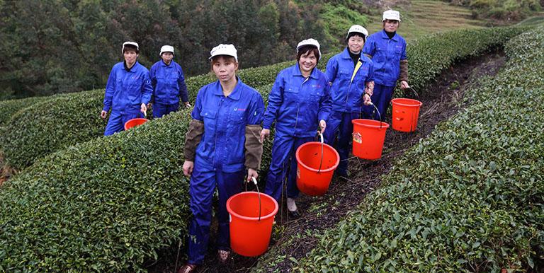To achieve the Sustainable Development Goals, countries need financial products and services that support environmentally friendly investments. Photo credit: ADB.