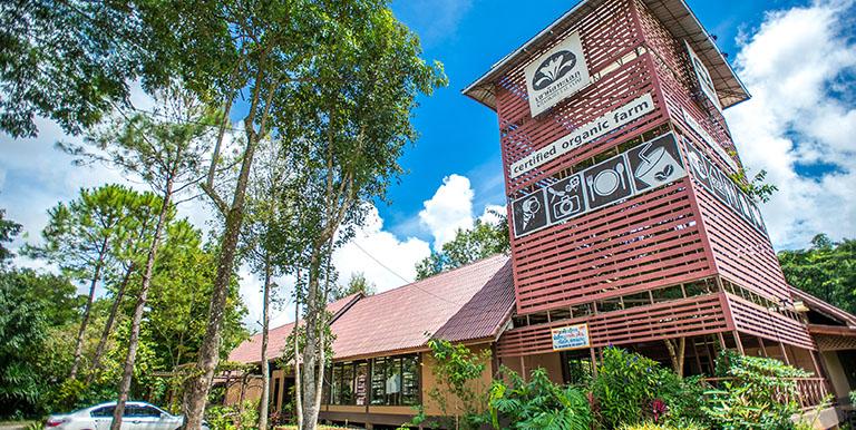 An environmentally sustainable farm resort in Thailand operates a store selling organically grown produce from its farm. Photo credit: ADB