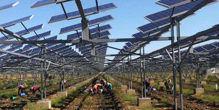 Conservation initiatives by the government and the private sector, such as the photovoltaic desertification control project, helped successfully restore one-third of the Kubuqi Desert. Photo credit: Elion Group.