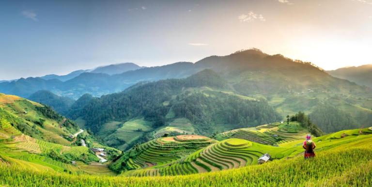 Smallholder farmers play a vital role in strengthening the resilience of food systems in the Greater Mekong Subregion. Photo credit: Landell Mills.