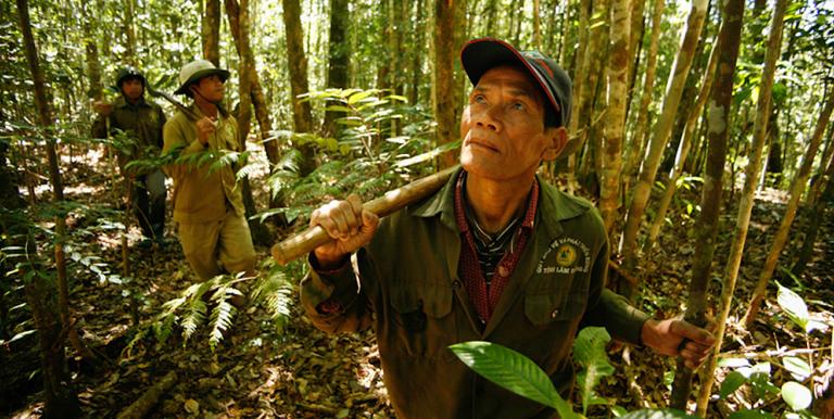 A program in Viet Nam protects overexploited watersheds and provides communities with sustainable livelihood in forest conservation and protection. Photo credit: ADB.