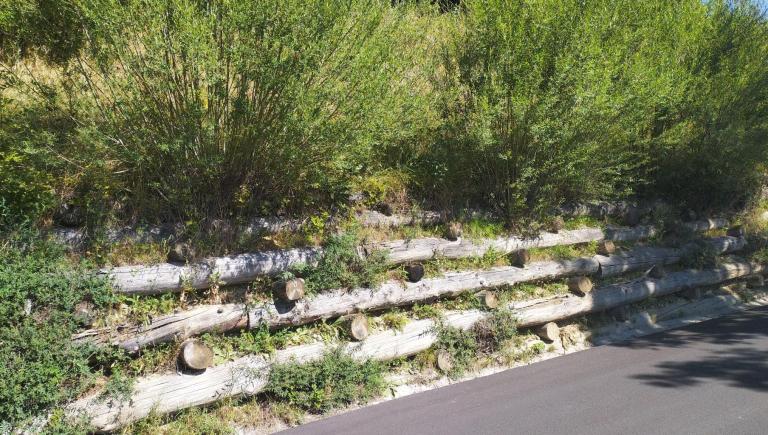 Fully integrated bioengineering retaining wall solution for road engineering. Photo credit: Claudio Angelino.