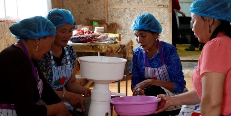 Vocational training for dairy processing under the project community revolving fund in Khuvsgul Province, Mongolia. Photo credit: ADB. 