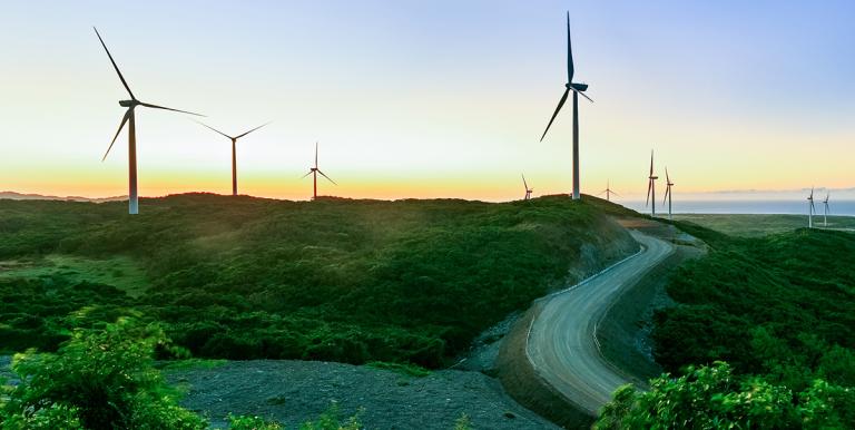 The wind energy project provided environmental and social benefits, which included biodiversity preservation and livelihood and educational assistance. Photo credit: EDC Burgos Wind Power Corporation. 