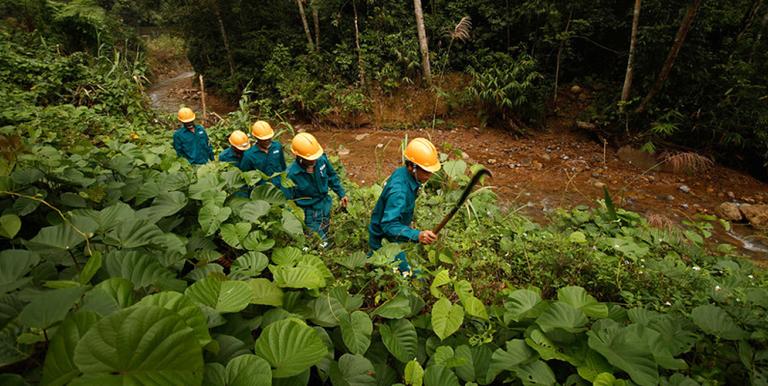 Viet Nam implemented a national payment for forest ecosystem services program starting in 2011. Photo credit: ADB.