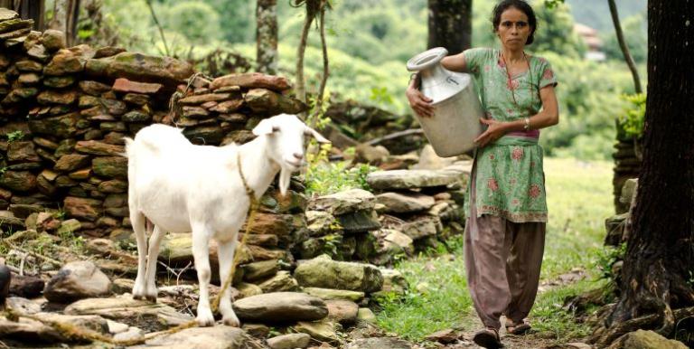 When the ADB was putting together a community-based project to improve Nepal’s water supply, 30% of Nepal’s population of 23.2 million had no access to basic water and sanitation services despite the country accounting for over 2% of the world's water resources. Photo credit: ADB.