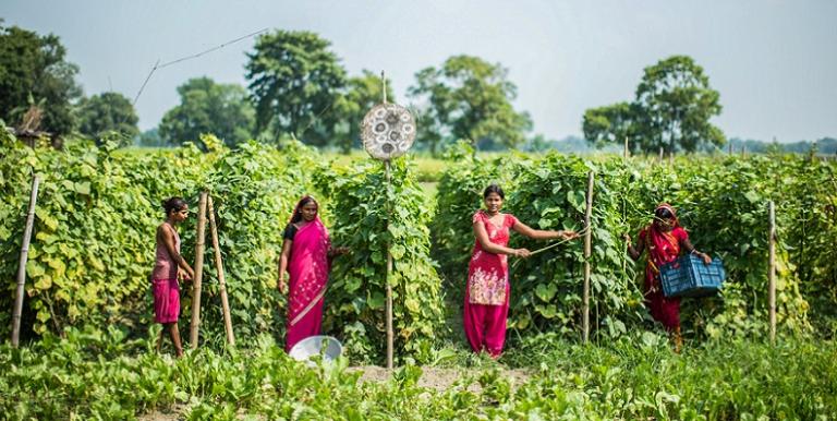 Women's empowerment is a complex process that requires integrated and innovative solutions. Photo credit: ADB.