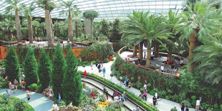 Wheelchair and stroller-friendly ramps pave the way around Gardens by the Bay, winning them a Building Construction Authority Universal Design Mark Platinum rating. Photo credit: gibbyli