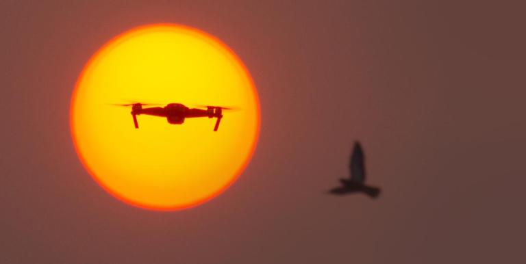 Affordable and cost-efficient, unmanned aerial vehicles (UAVs), commonly known as drones, are increasingly being utilized for ecological monitoring and biodiversity conservation. Photo credit: ADB.
