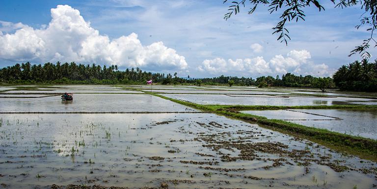 With bathymetric LIDAR technology, Indonesian agencies can pinpoint infrastructure that needs upgrading to improve irrigation potential and yield. Photo credit: ADB.