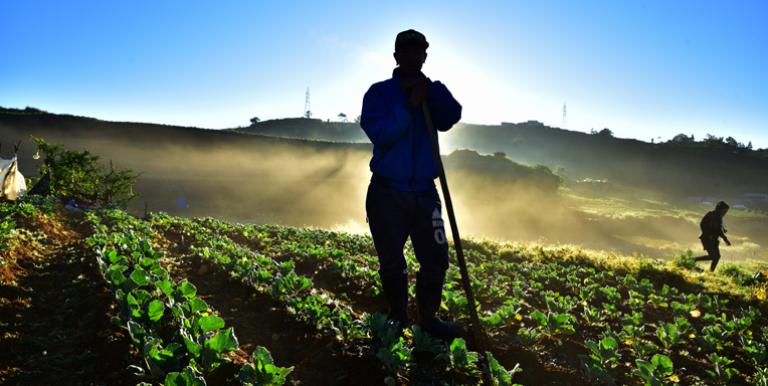 New technology can help improve farming efficiency and production. Photo credit: ADB.