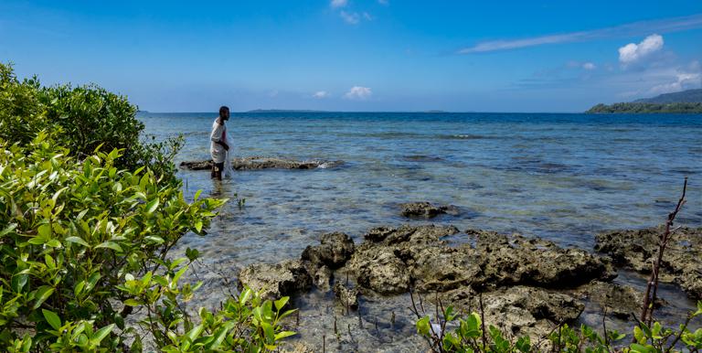 Healthy ecosystems increase the resilience of communities; their degradation can exacerbate climate impacts and place populations at risk. Photo credit: ADB.