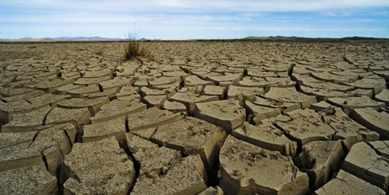 In Mongolia, climate change has worsened the effects of a dzud, an unusually dry summer followed by a severe winter. The phenomenon can be devastating to livestock on which many people rely for food and livelihood. Photo credit: ADB.