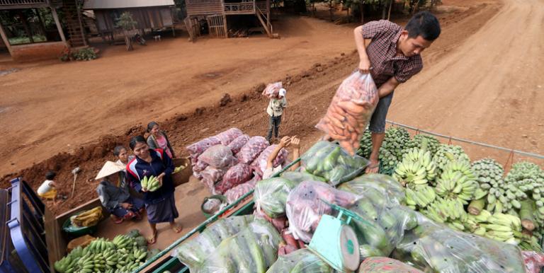 A problem in supply chains today is that farmers do not get paid upon delivery of their produce, while buyers lack access to finance that will enable them to pay farmers on time. Photo credit: ADB.