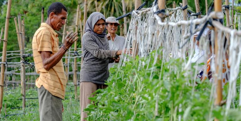 The transformation of Timor-Leste’s agricultural sector is crucial in addressing its food insecurity and malnutrition. Photo credit: ADB.