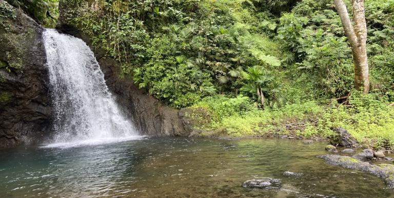 An eDNA survey can help determine if artificial and natural barriers, such as waterfalls, are limiting the migration of fish species from the river to the sea. Photo credit: R. Stirnemann.