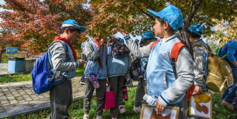 Mental health issues can disrupt children’s learning, relationships, and future opportunities. Photo credit: ADB.