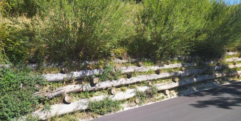 Fully integrated bioengineering retaining wall solution for road engineering. Photo credit: Claudio Angelino.