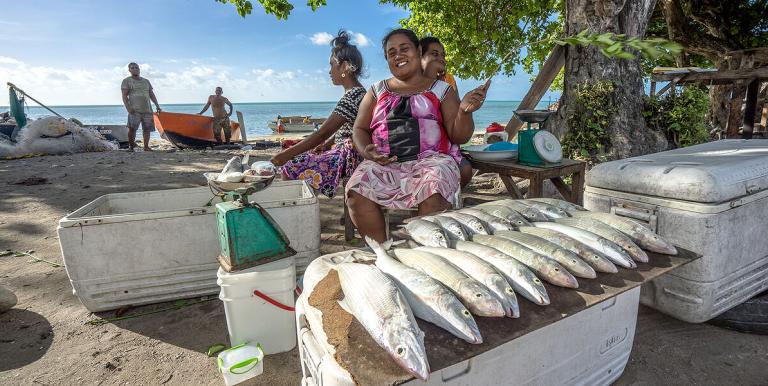 Promoting healthier food environments, complemented by targeted social protection programs, would help households shift toward more nutritious diets. Photo credit: ADB.