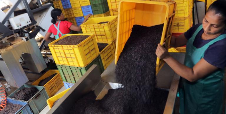 Regional integration enhances job prospects in manufacturing and services, leading to higher wages and increased demand for women workers. Photo credit: ADB. 