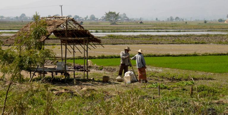 Rising input costs, driven by currency depreciation, along with security concerns and logistics disruptions, can lead to low farm production. Photo credit: ADB. 