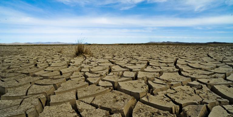 Drought conditions in Mongolia. Environmental risks, such as extreme weather events and climate change adaptation failure, have been increasing and the trend is expected to continue. Photo credit: ADB.