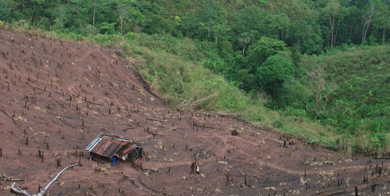 Some hillsides in Nan Province, Northern Thailand, have been cleared and converted for agriculture. Photo credit: David Gritten. 