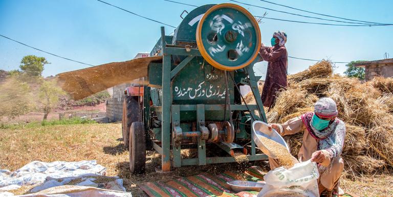 Agriculture is one sector that CAREC countries like Pakistan can explore to push an export-driven growth.  Photo credit: ADB