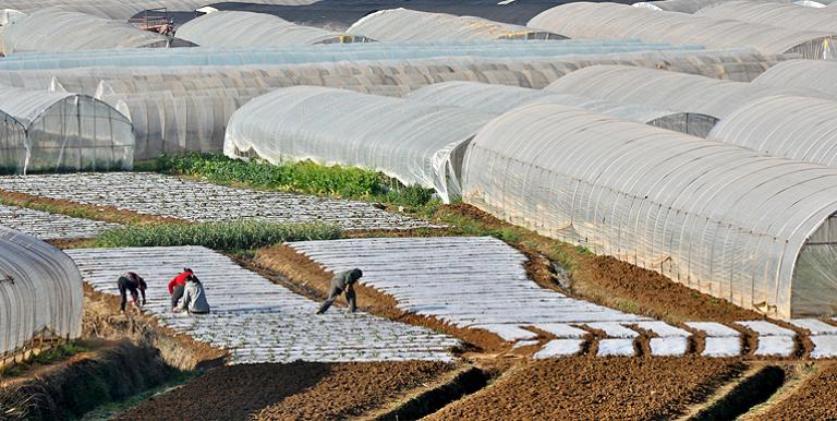 Agricultural reforms centered on redistributing collective farming management to individual farmers through lease rights or private ownership. Photo credit: ADB.