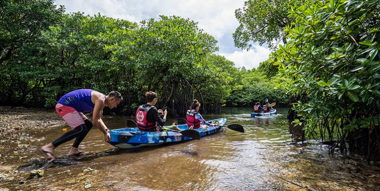 Highly tourism-dependent Palau could benefit from a travel bubble or green corridor partnership with East Asia, its biggest tourism market. Photo credit: ADB.