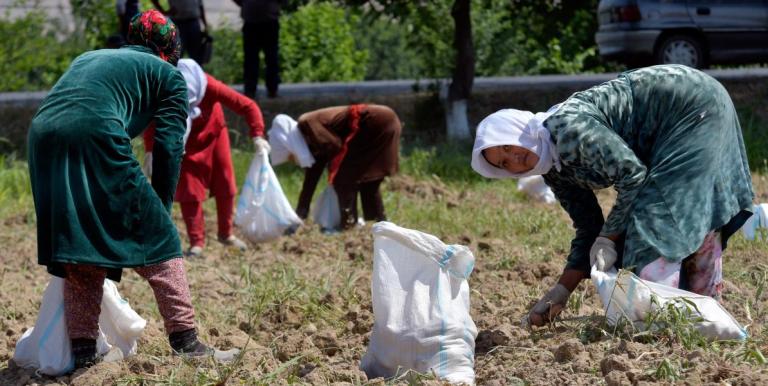 Reliance on resource-intensive sectors, such as agriculture, makes Central Asia highly vulnerable to the impacts of climate change. Photo credit: ADB.