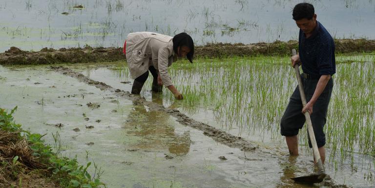 A climate-resilient agriculture is key to food security.  Photo credit: ADB.