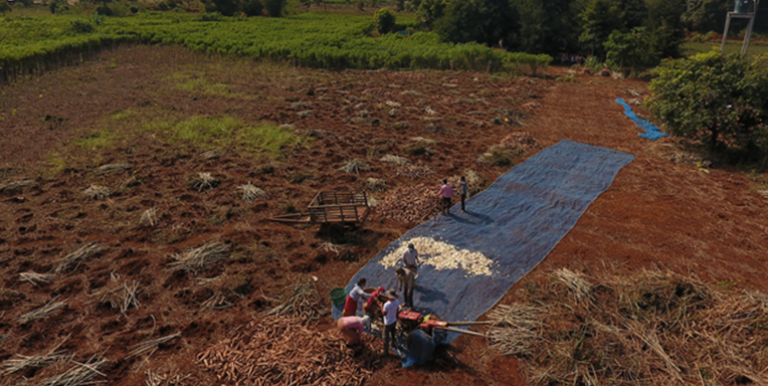 Working lands programs for eco-compensation can improve rural livelihoods, improve food quality and safety, maintain beautiful agricultural landscapes, and prevent social and cultural disruption. Photo credit: Xaykhame Manilasit/ADB