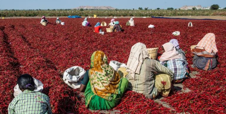 Without proper safeguards, extreme heat puts workers at risk, undermining productivity and economic resilience. Photo credit: ADB.