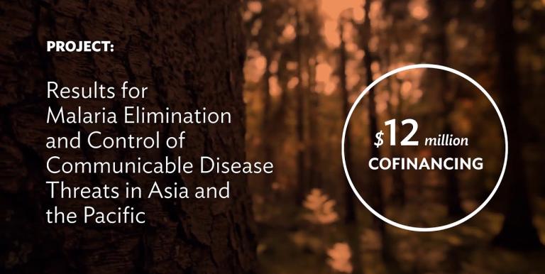 Embedded thumbnail for Eliminating Malaria in the Greater Mekong Subregion