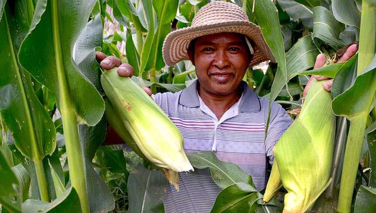 Giving farmers easy access to relevant and accurate agriculture and market data can help them improve yields and income by making informed decisions. Photo credit: Asian Development Bank.