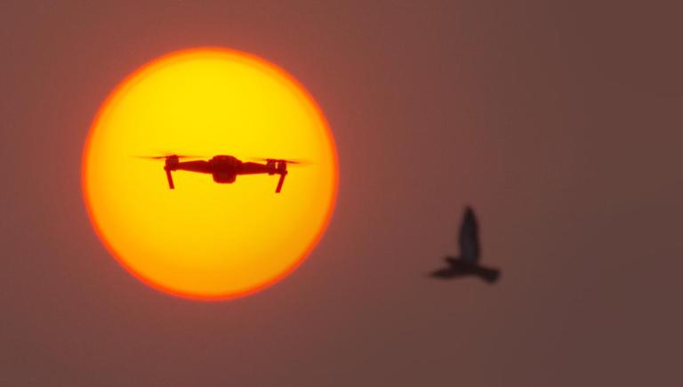 Affordable and cost-efficient, unmanned aerial vehicles (UAVs), commonly known as drones, are increasingly being utilized for ecological monitoring and biodiversity conservation. Photo credit: ADB.