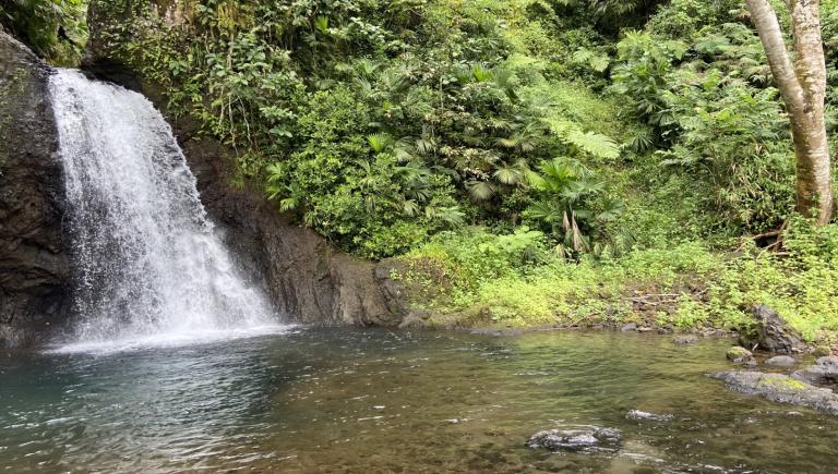 An eDNA survey can help determine if artificial and natural barriers, such as waterfalls, are limiting the migration of fish species from the river to the sea. Photo credit: R. Stirnemann.