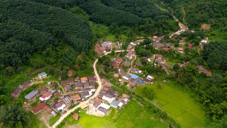 Protecting sufficient forest value can conserve areas that are heavily forested and inhabited. Photo credit: ADB.